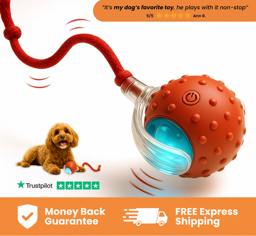 Solve Your Dog's Boredom in Seconds