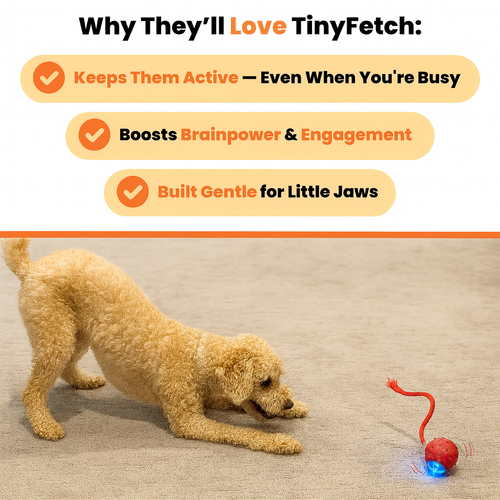 Solve Your Dog's Boredom in Seconds