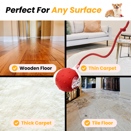 Solve Your Dog's Boredom in Seconds